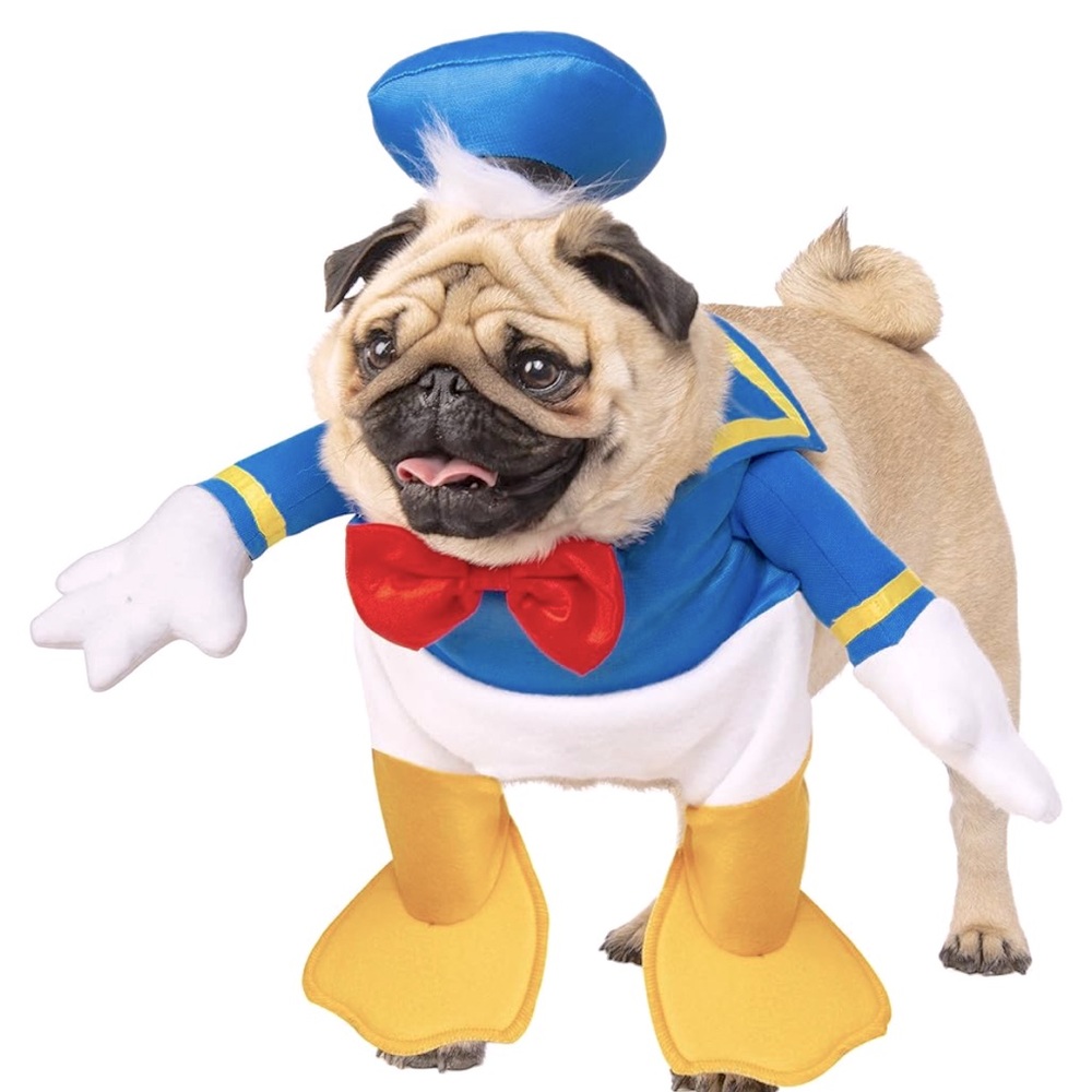 Large Donald Duck dog costume